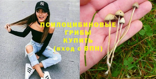 кристаллы Новозыбков